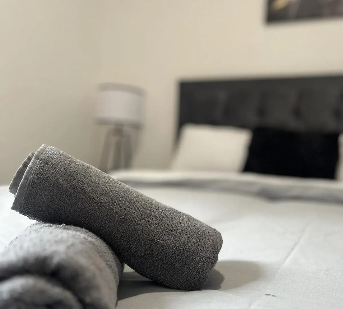 Stylish Two Bedroom Apartment Cardiff